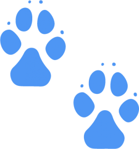 wolftrail kopie 3